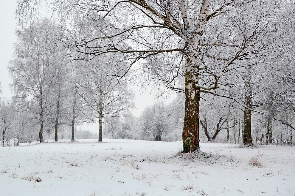 Nach einem Schneesturm