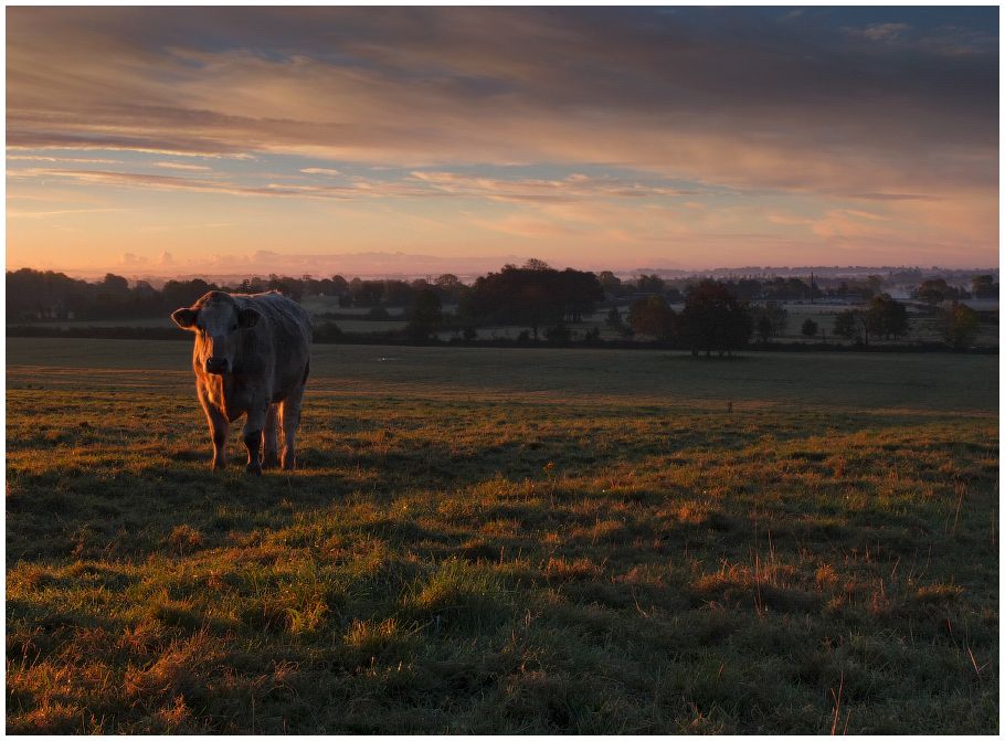 Die kühnsten ......)))