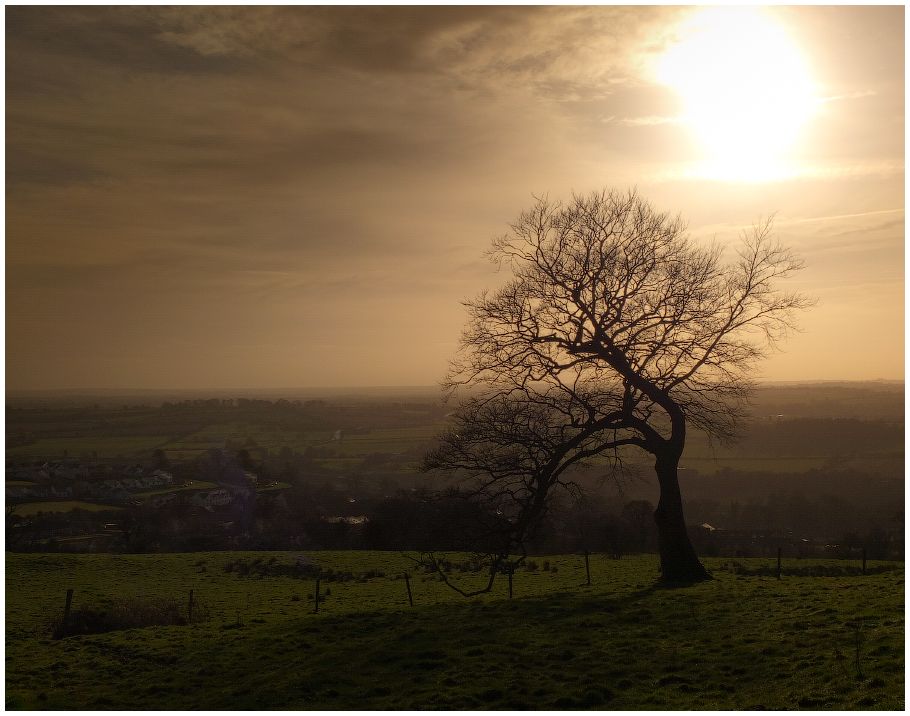 ... Alone, an den Hängen ...