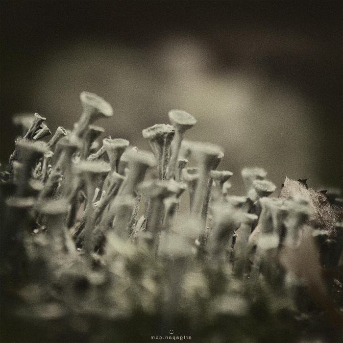 ‎[We're Here...] :)