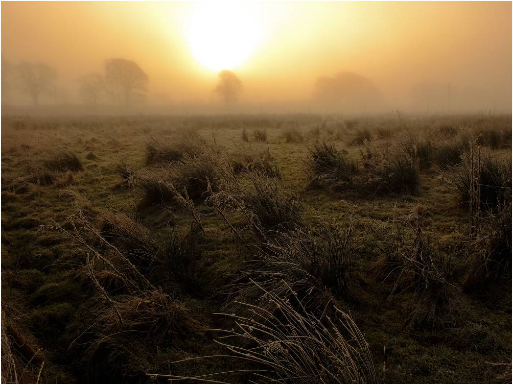 Beams ... und die Sonne ...
