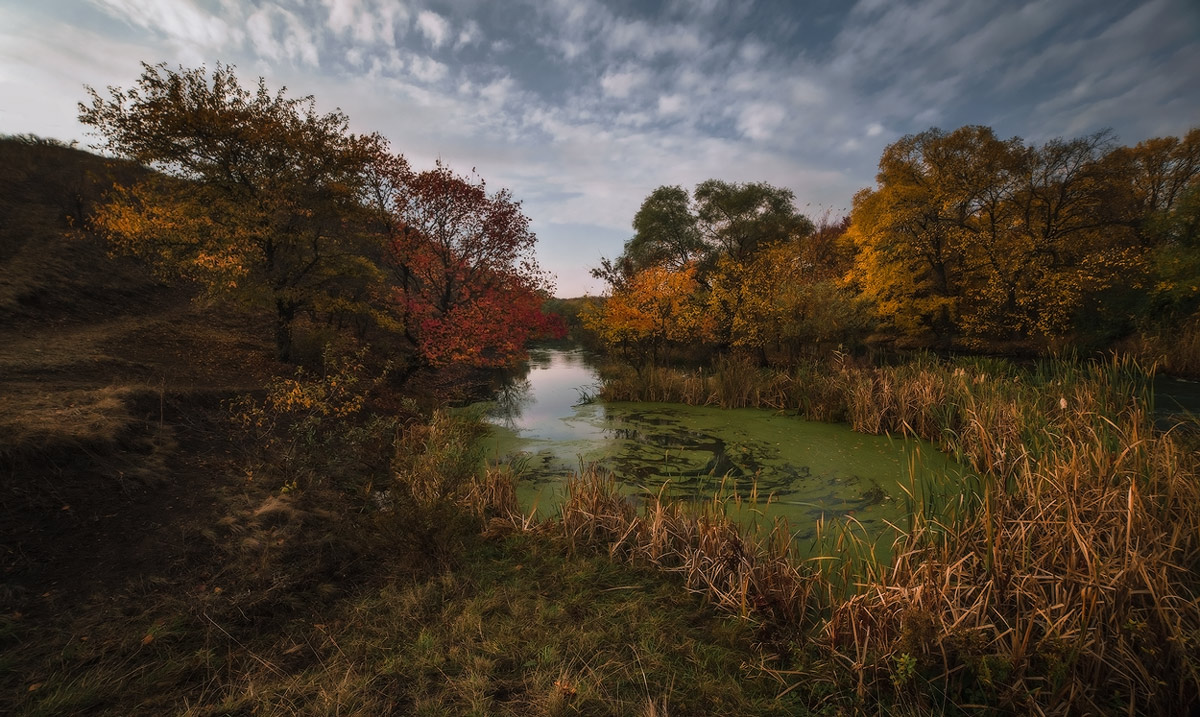 Zurück in den Farben des Herbstes