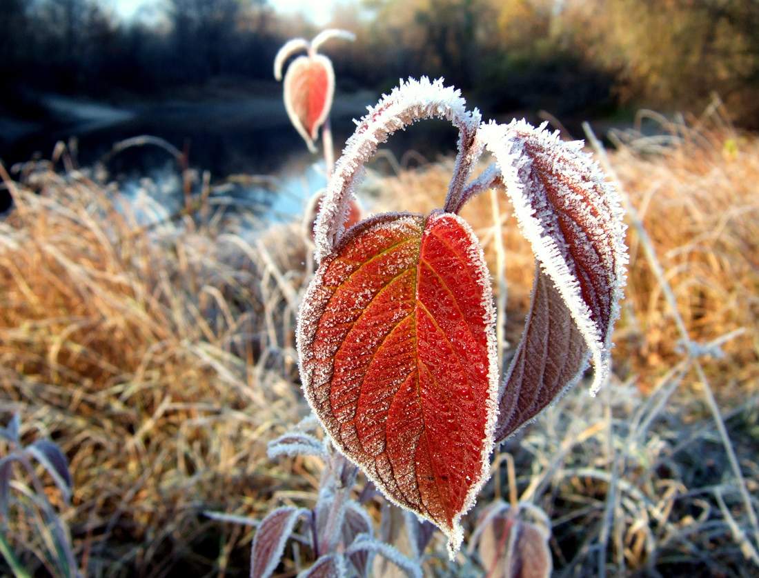 Der Atem des Herbstes