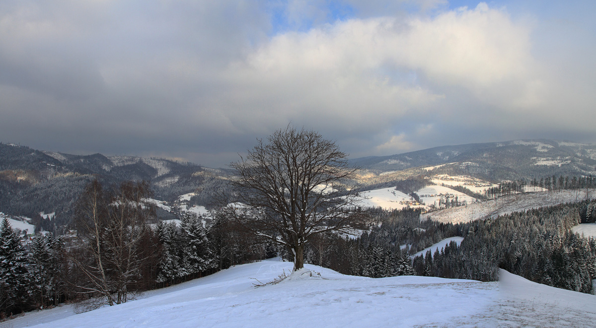 Die Januar-Nachmittag