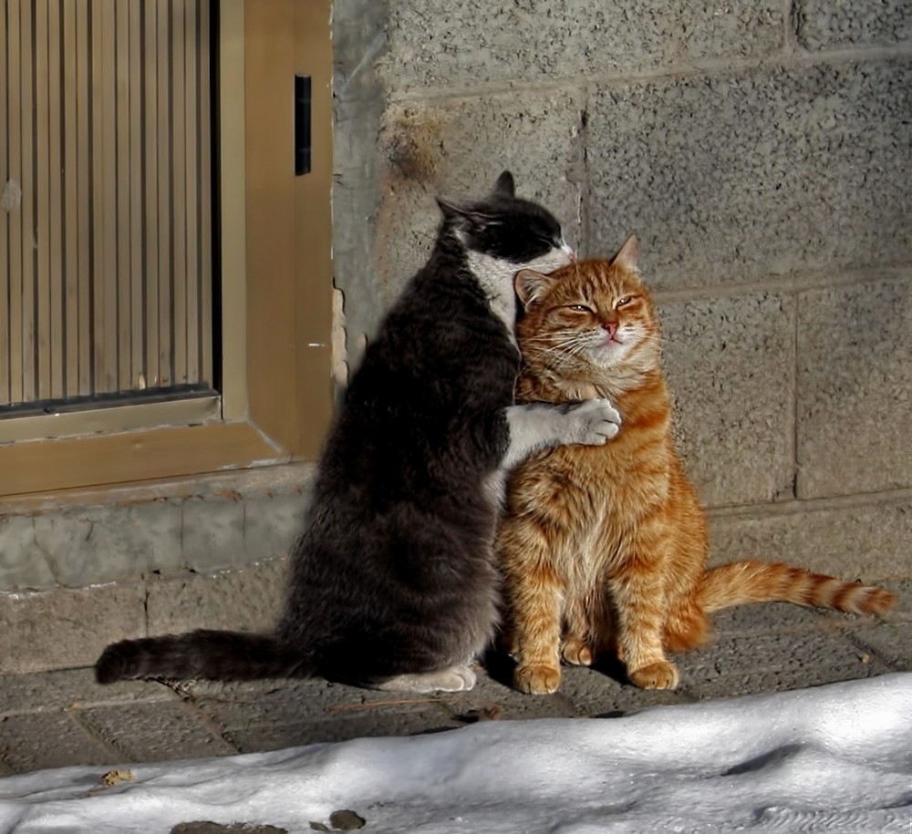 Sie langweilen, bist du einsam?