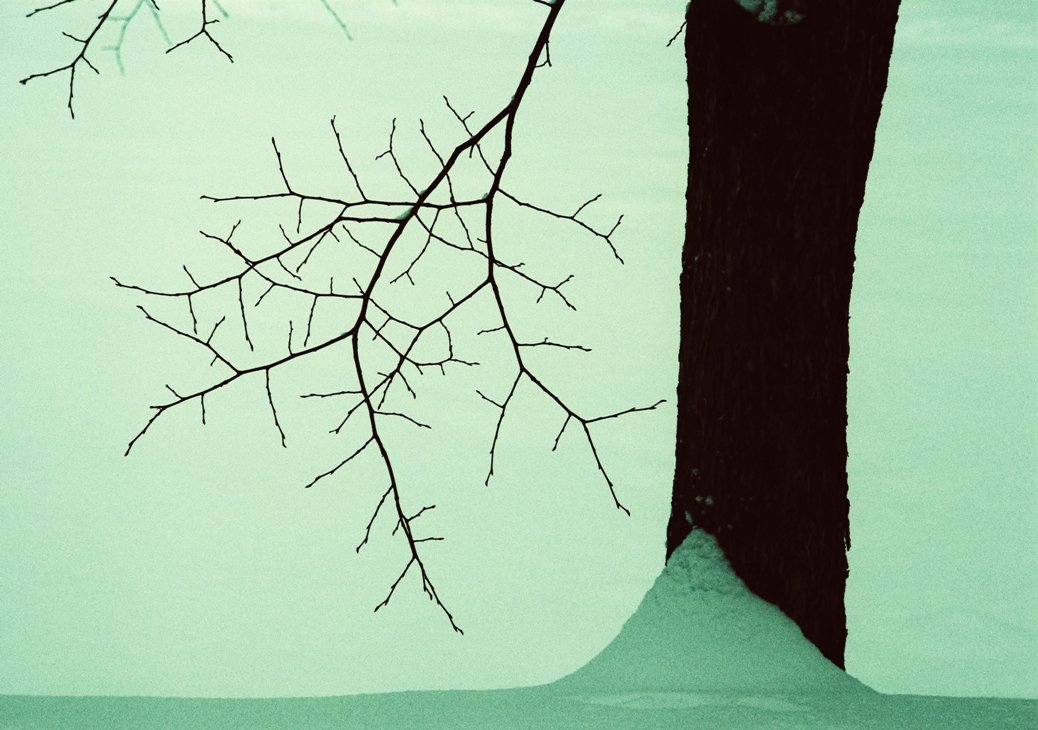 Elemente des Winters