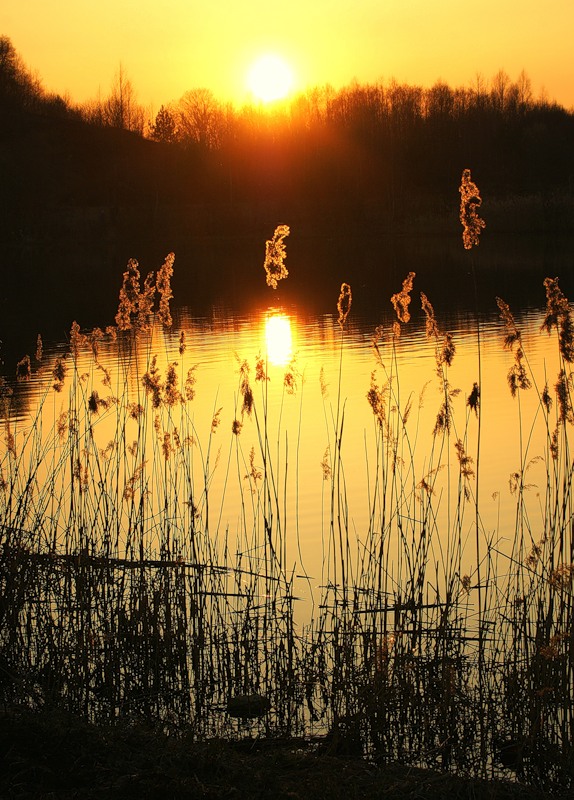 Stellen Sie in den Vororten (Garten-Zeit)