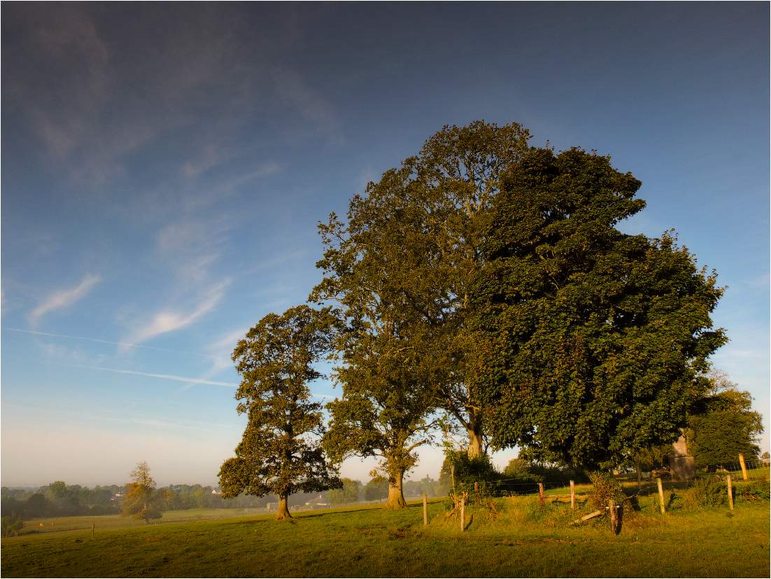 ... Eines Tages im September ...