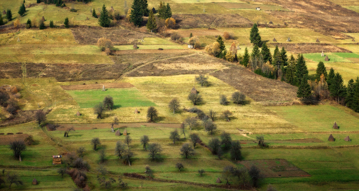 Ändern ...: mit einer Differenz von zwei Tagen (Miniserie) ...