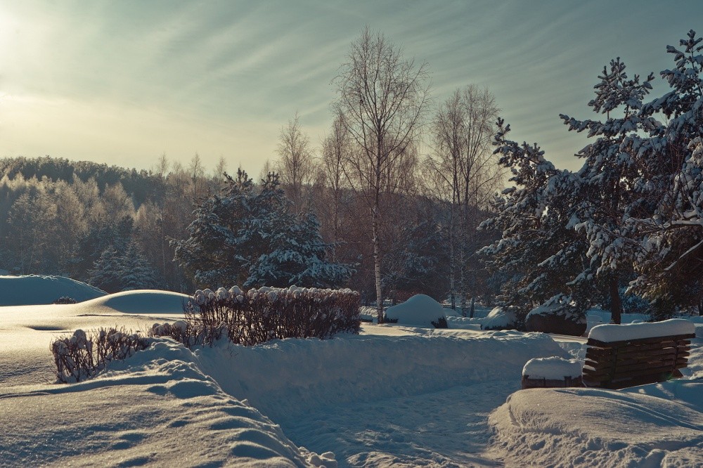 Meine Beziehung mit dem Wald