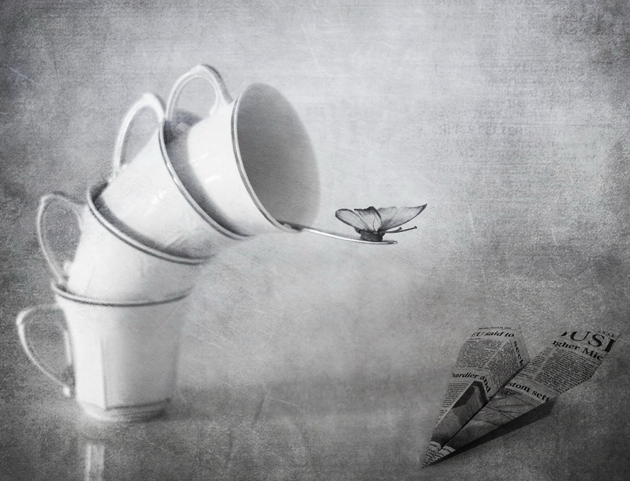 Sie haben noch nicht gelernt zu fliegen ....