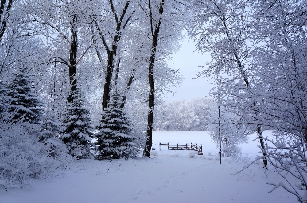 Der Weg auf der Anklagebank