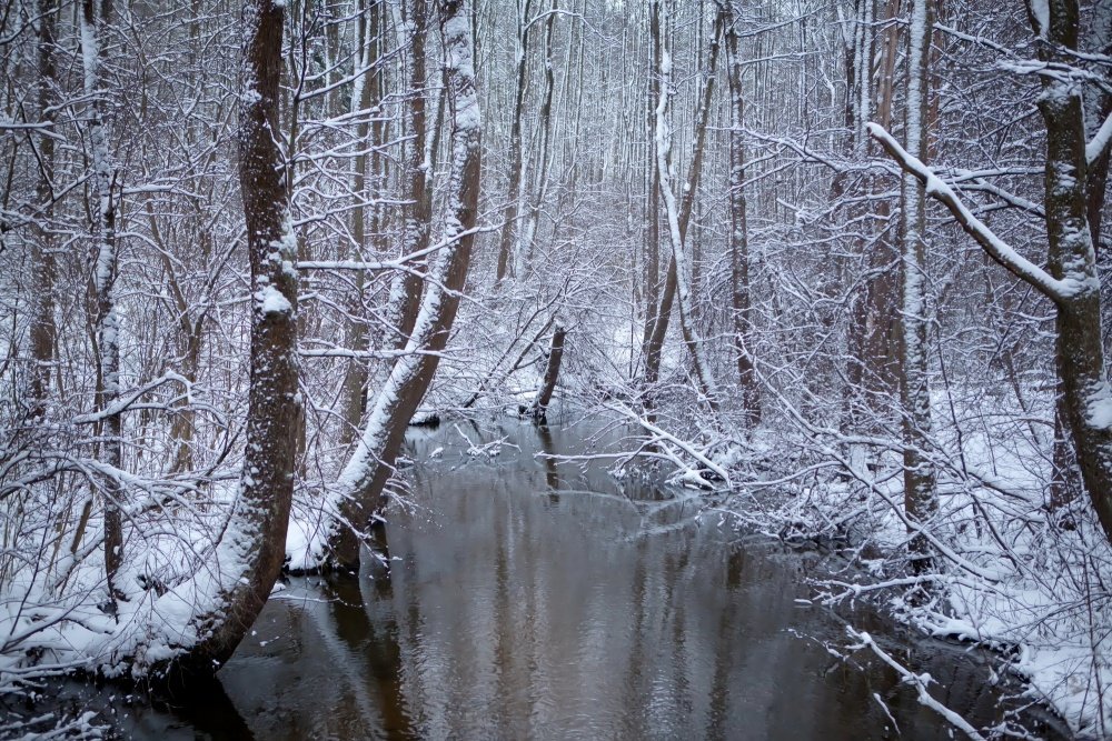 Reisen im Winter ...