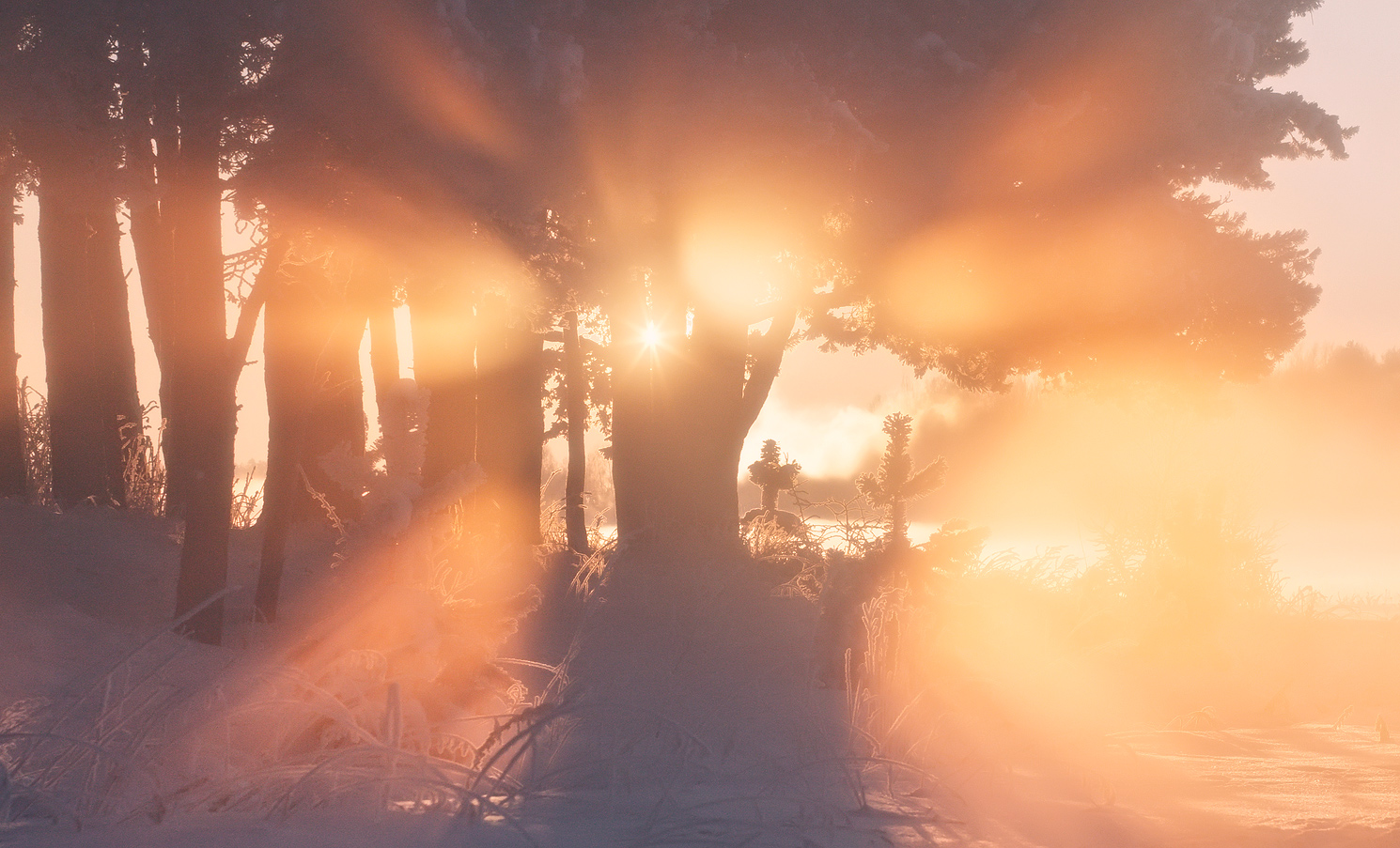 Berühren Sie die Sonne ................