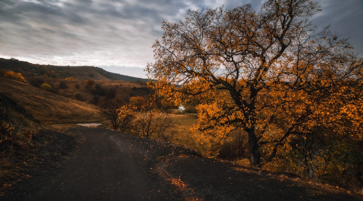 Autumn road