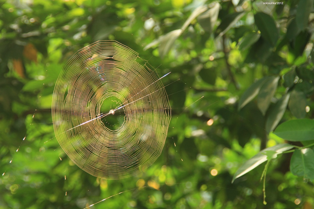 Винил "ручной" работы