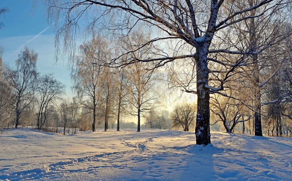 frostig Morgengrauen