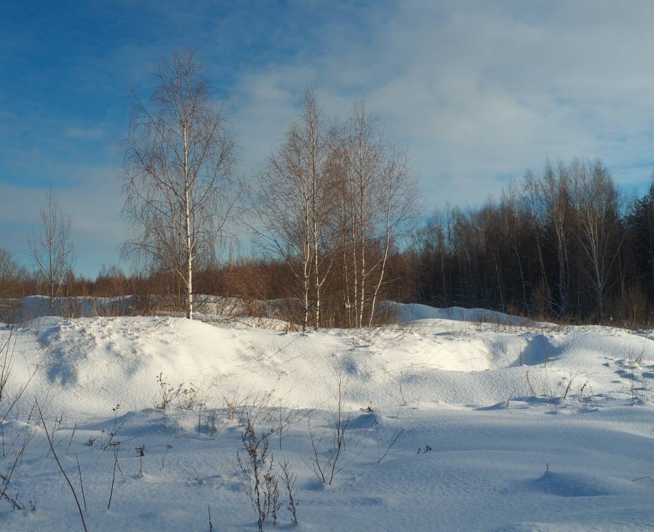 Warten auf den Frühling