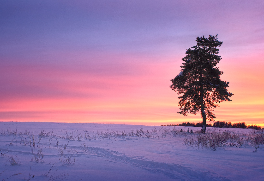 Vielversprechende Morgen ...