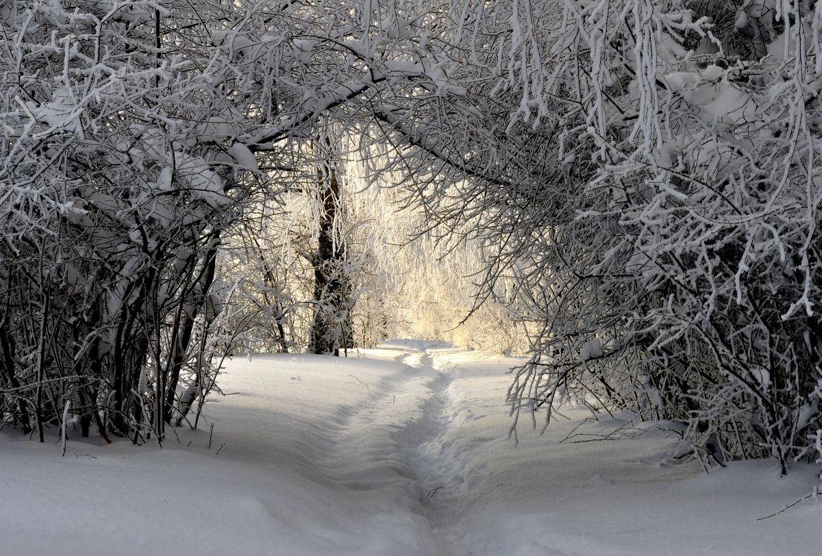 Winter Arch
