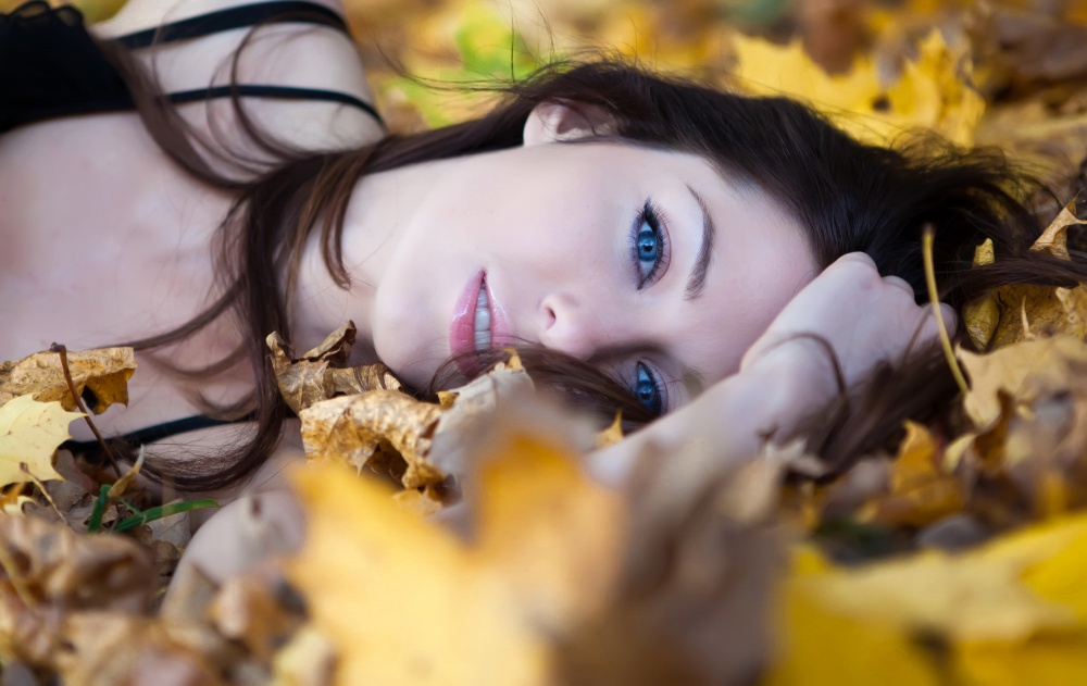 Portrait der Blätter