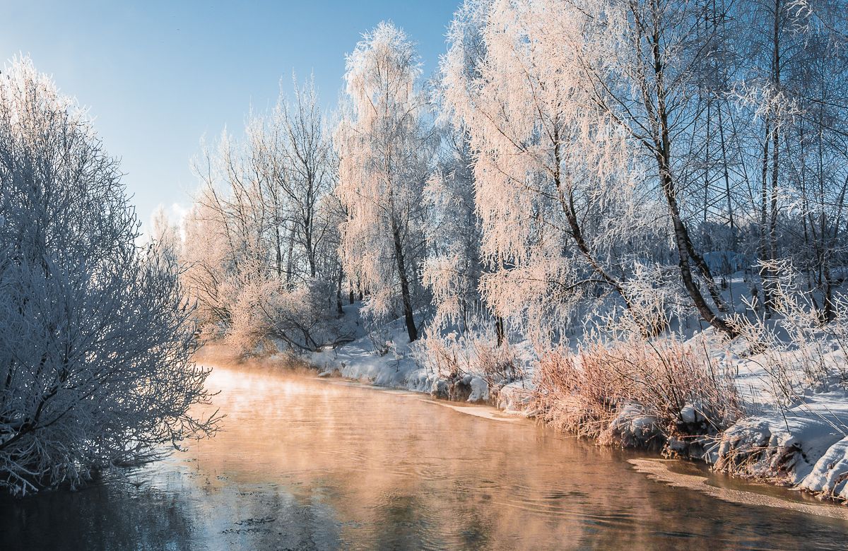 Frosty Morning