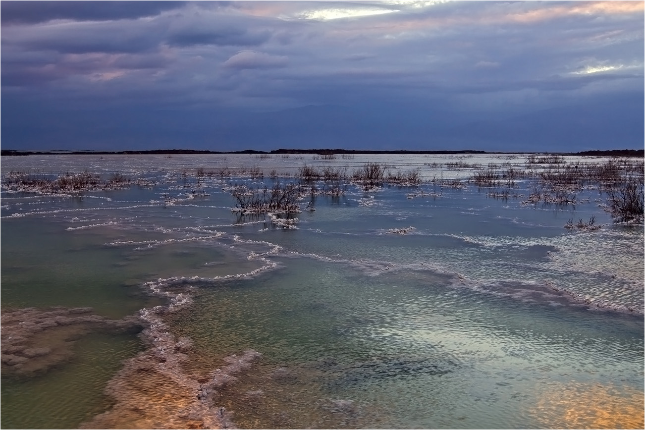 Dawn of the Dead Sea ... ...