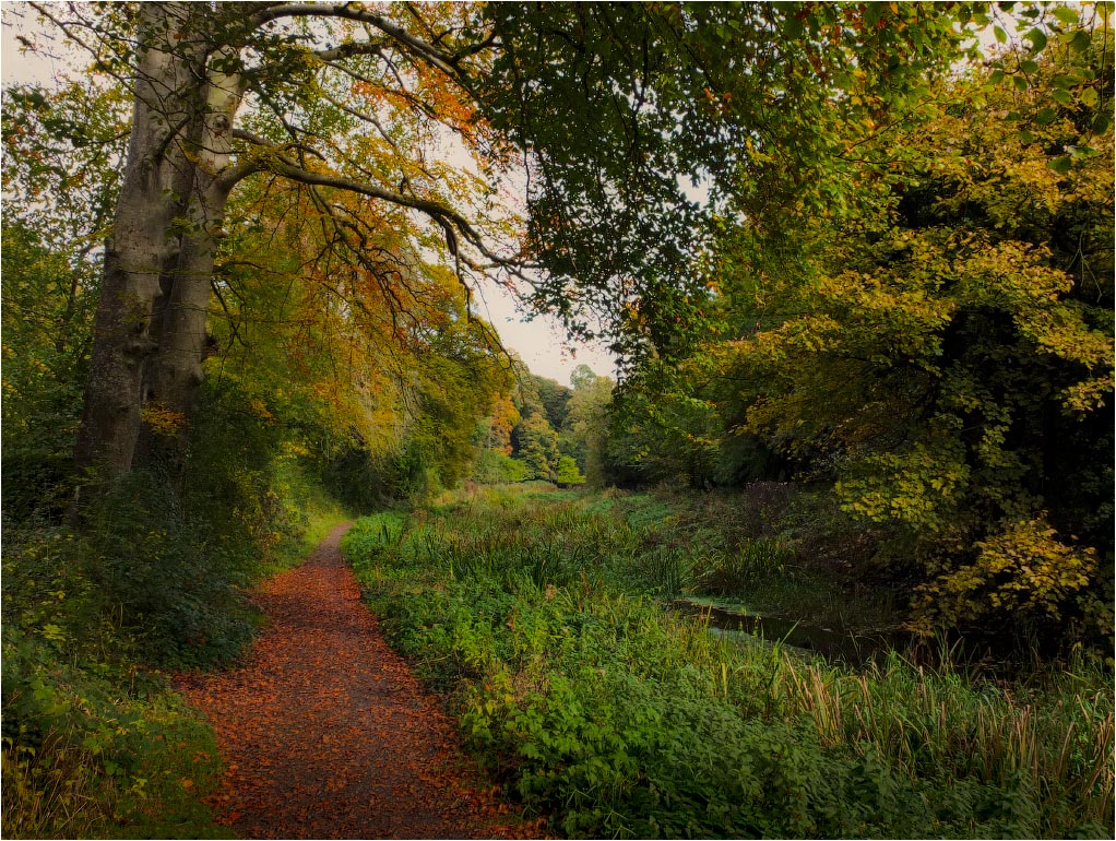 , ... Park "Trails" ...