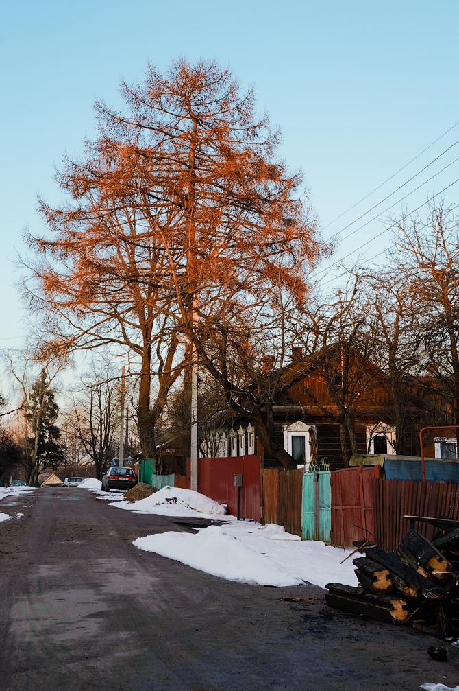 Der Frühling kommt ...