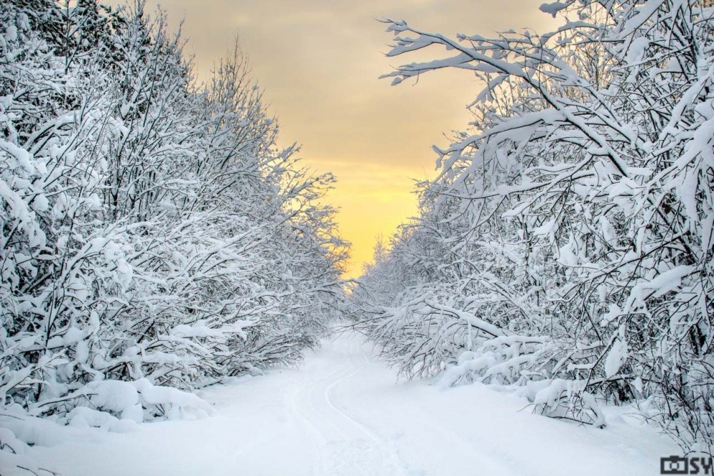 Straße zu den warmen Tönen