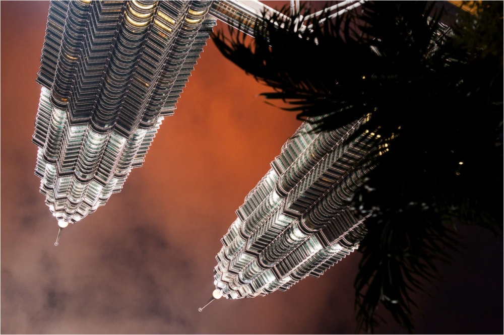 die dunklen Schmetterlinge Malaysia ...