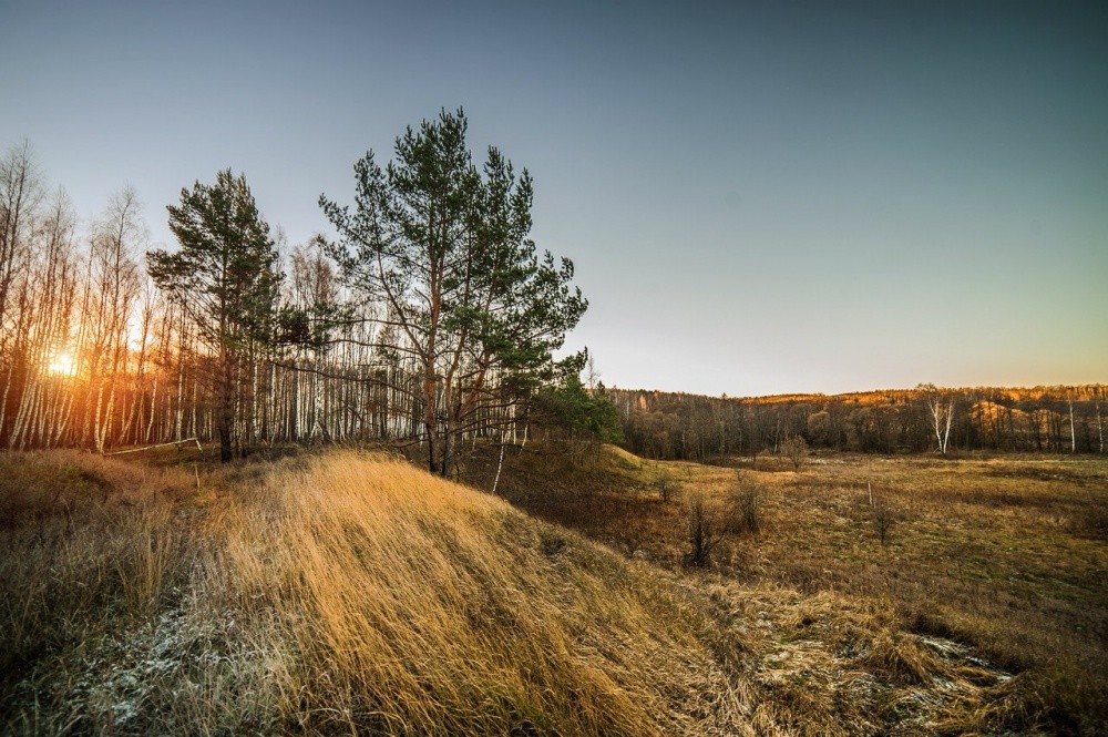 In Erwartung des Winters