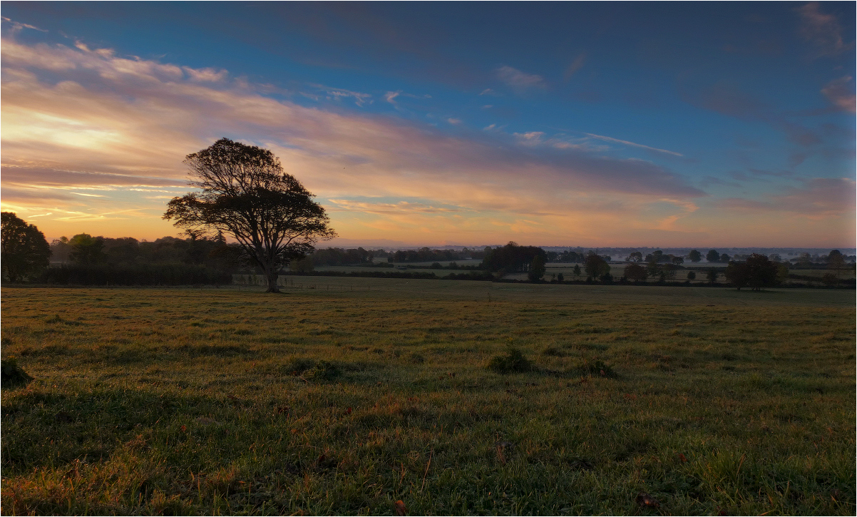 Mehr ... ONE Morgengrauen ...