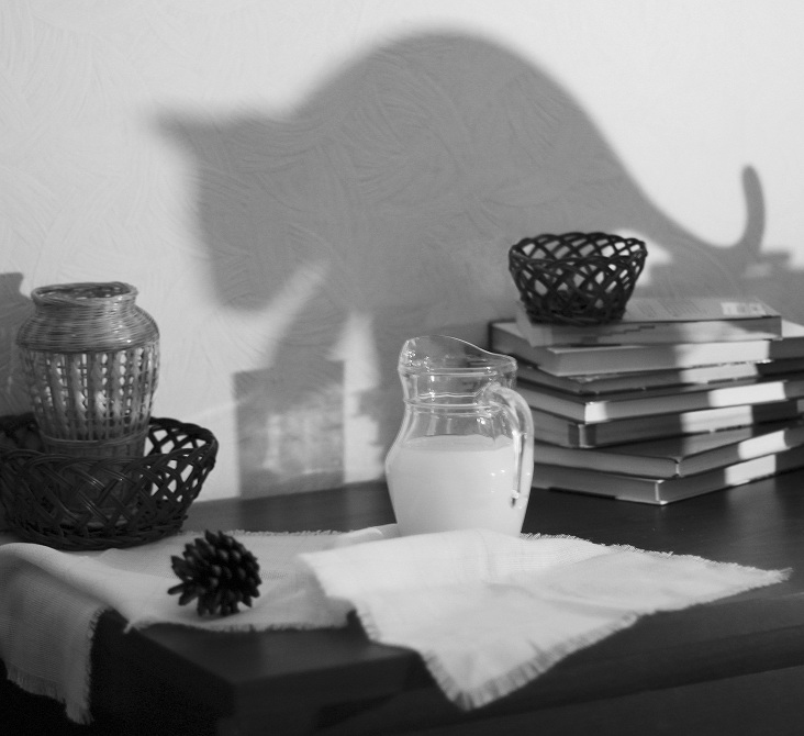 Katze kroch unbemerkt ...