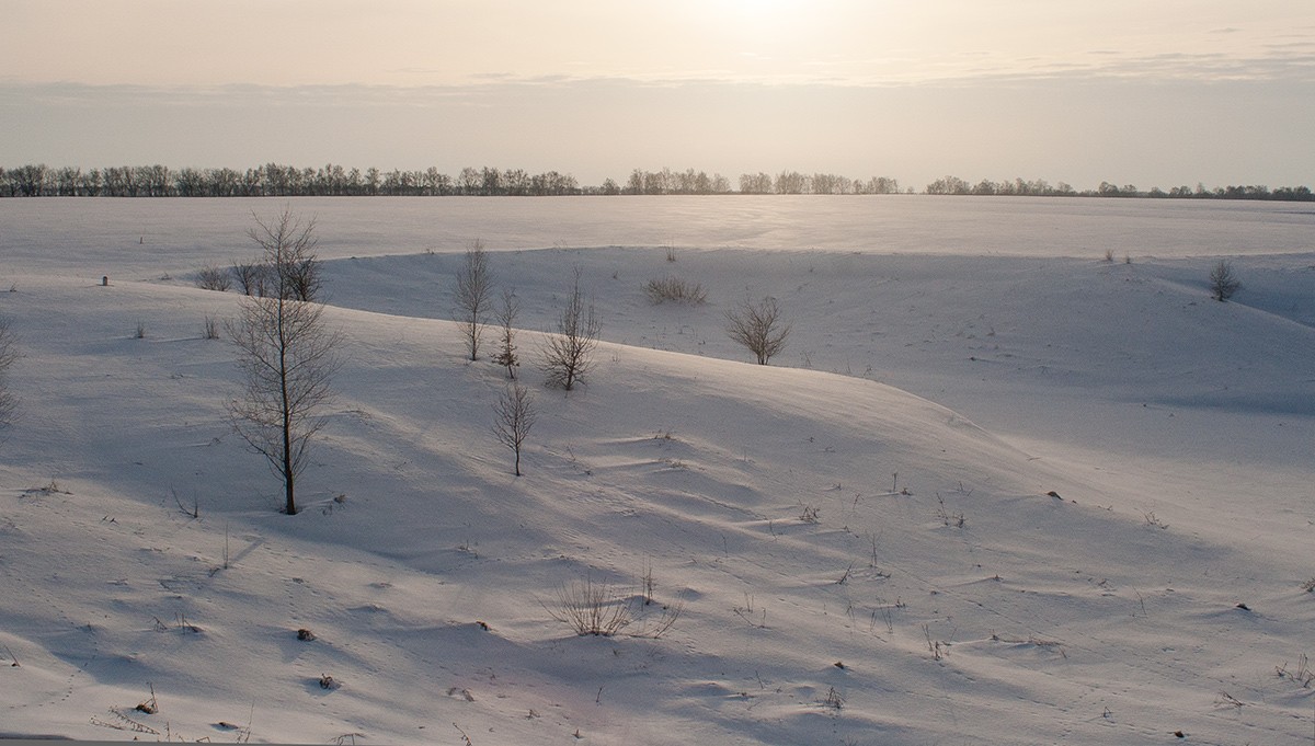 Im kalten Licht der Sonne.