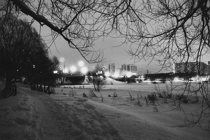 "look through the branches, or night walk"