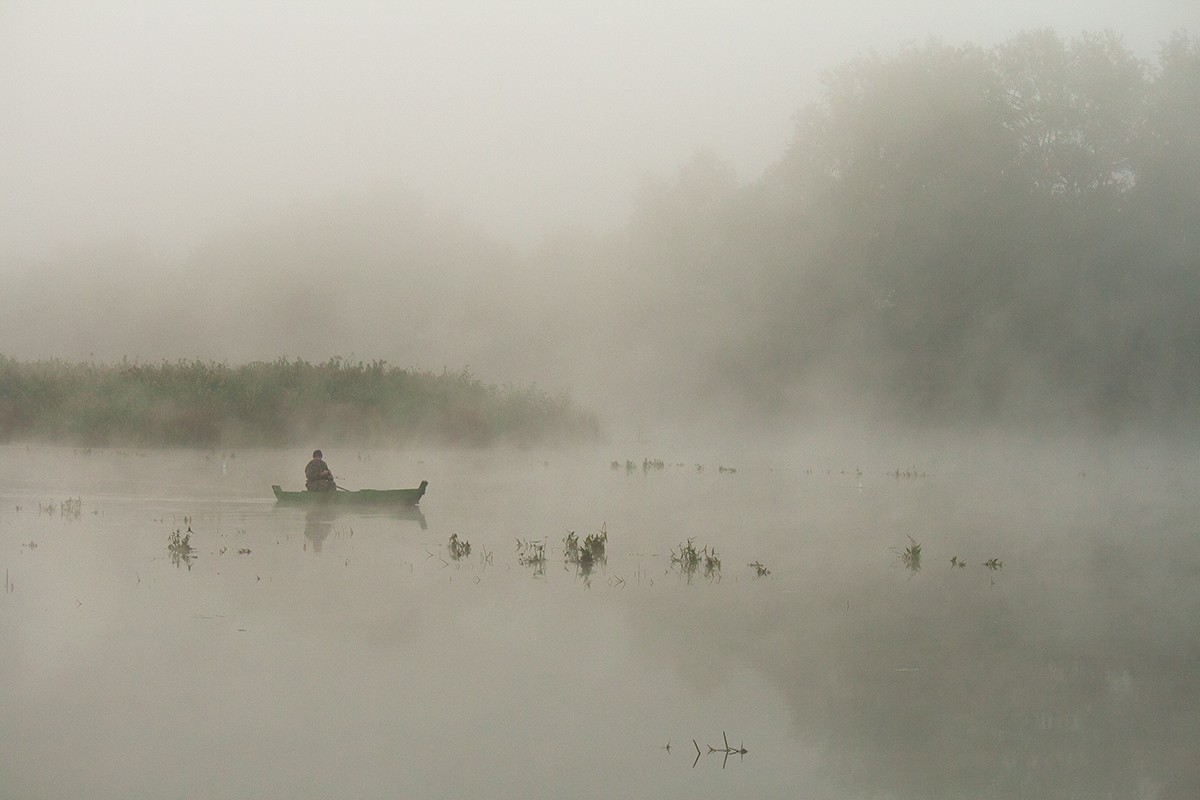 Misty Island Shores.