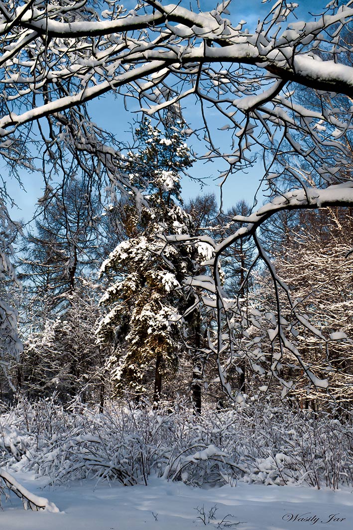 Holy smoke Winter / Sokolniki /