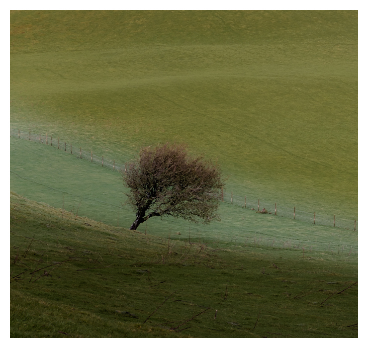 ... Aus Holz und Schattierungen ...