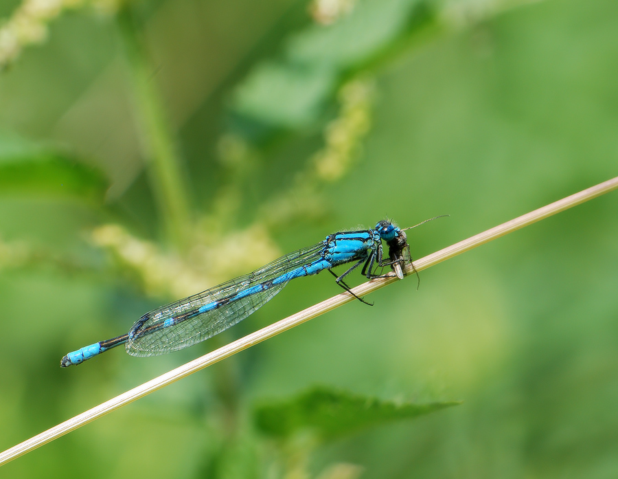 Zeit für das Mittagessen