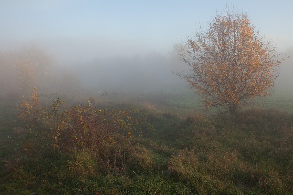 Dämmern nebligen Morgen.