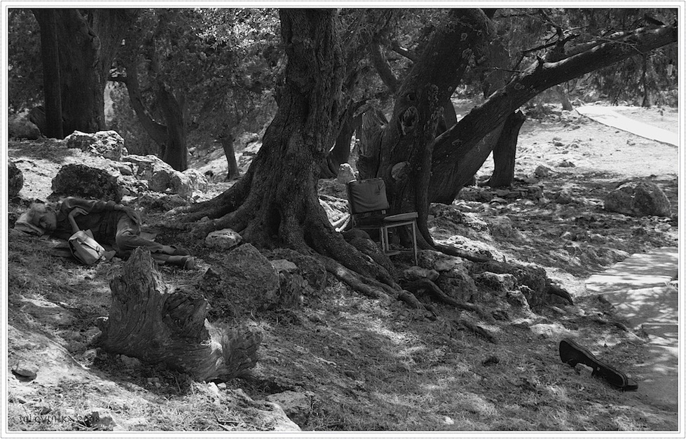 Black-and-white dream Musiker ...