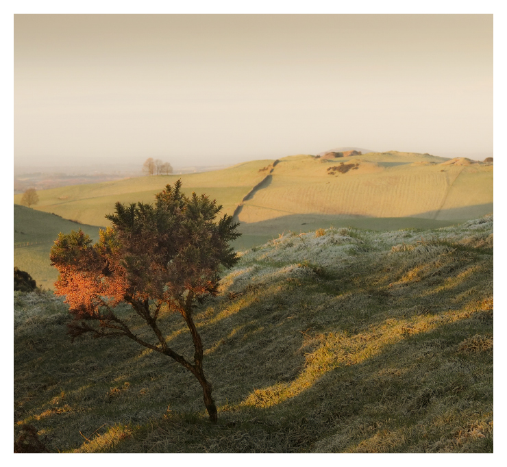 ... Und einsam, Veres kustOk ...