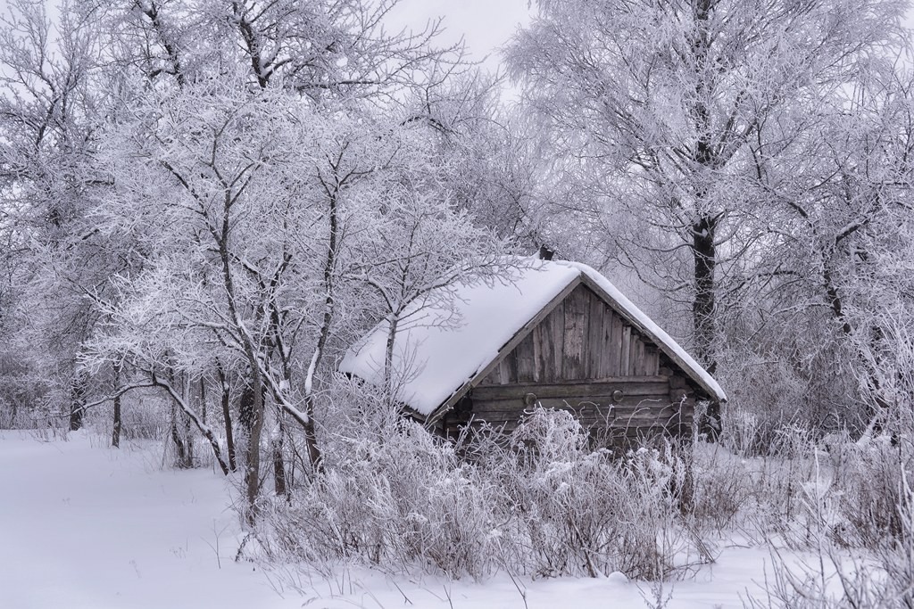 Hut gebeugt wie ein Vogel ...