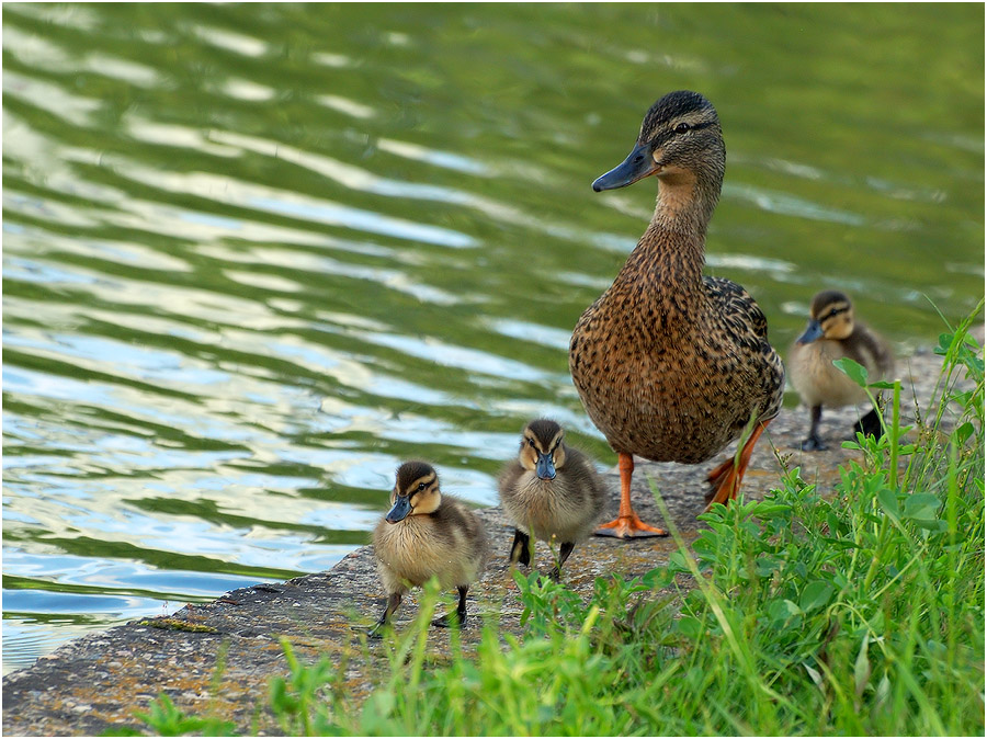 Wer geht zusammen in einer Reihe?