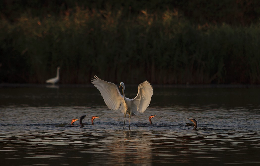 Gnade Sonnenaufgang.