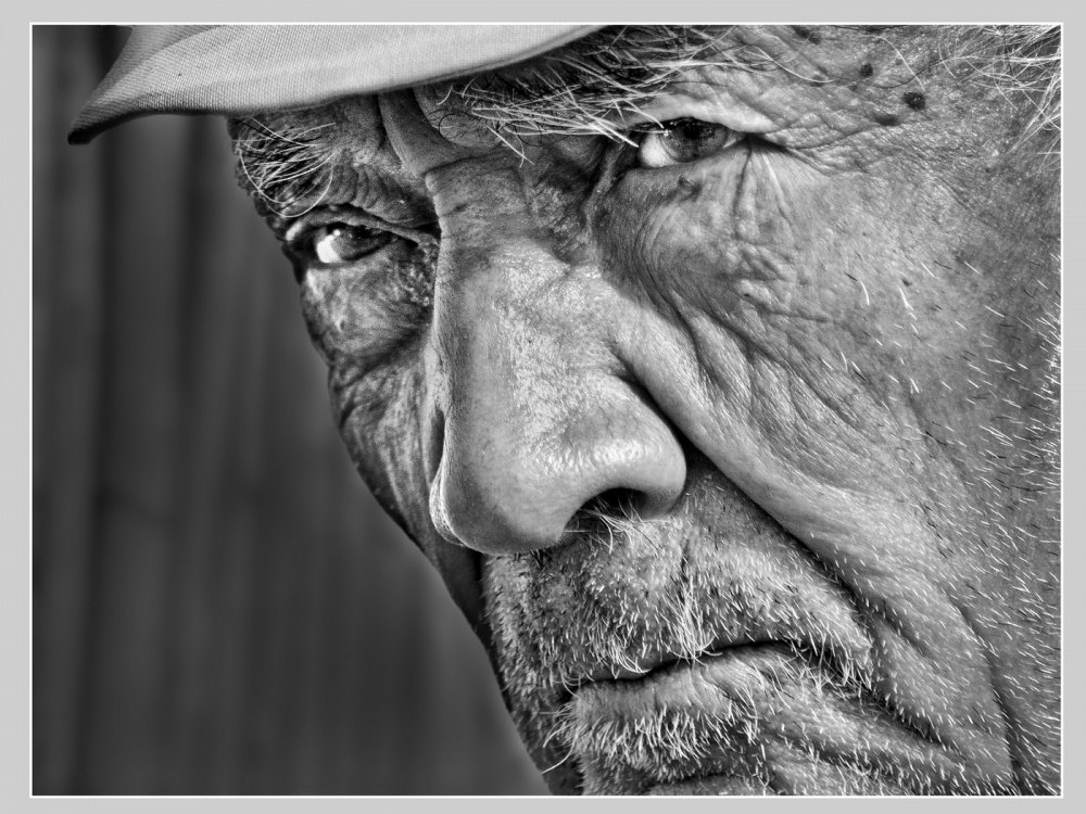 Scars des Schicksals (Narben des Schicksals)