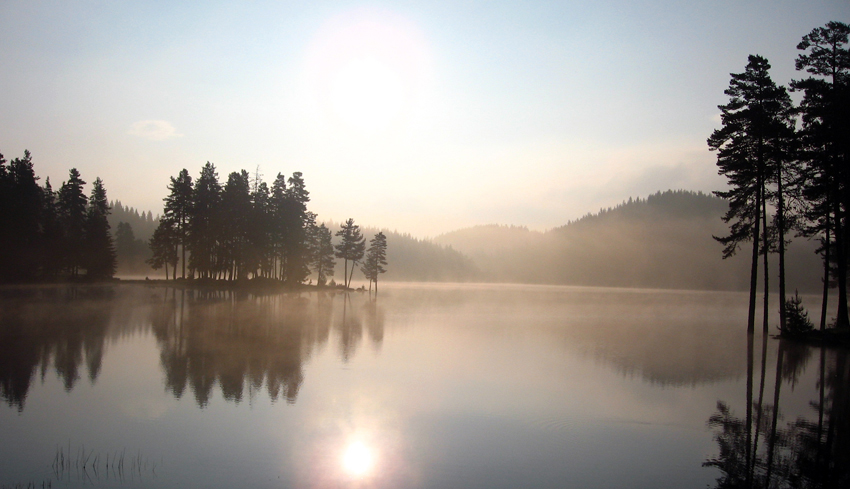 Broad Meadow - Bulgarien