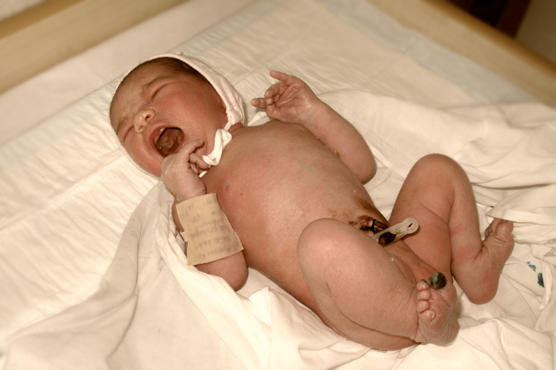 Stilleben prekrasnaaaaa!