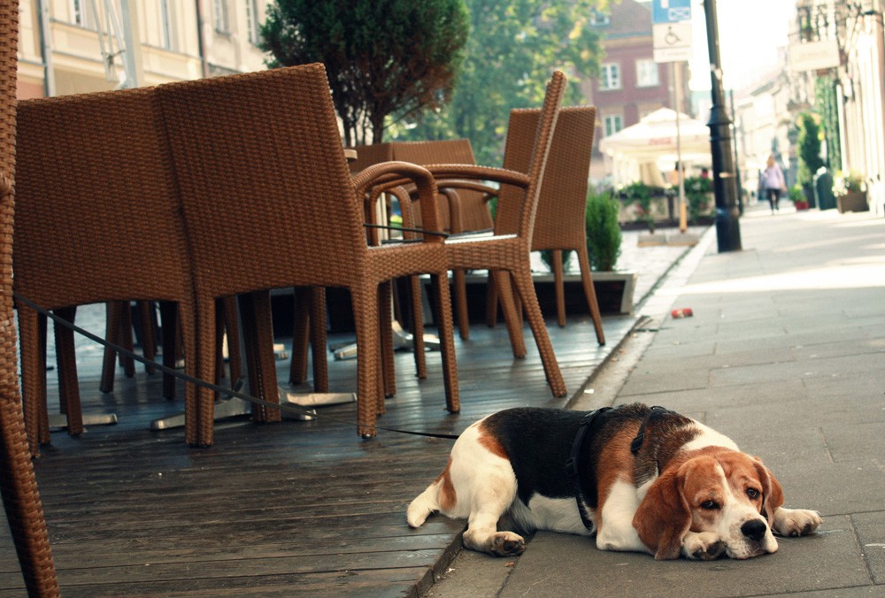 Sonntag Morgen, Warten auf den Kaffee